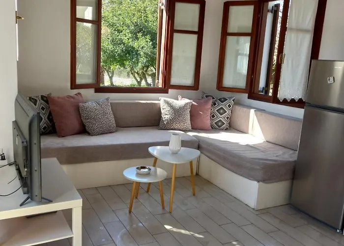 Ageri * סטפילוס